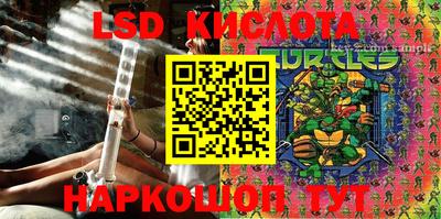 крисы Краснознаменск