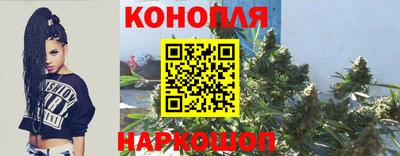 крисы Краснознаменск