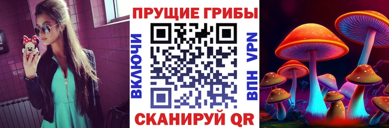 Галлюциногенные грибы Magic Shrooms  дарк нет наркотические препараты  Тамбов 
